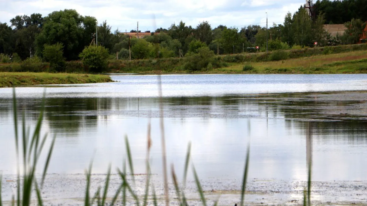 пресс-служба губернатора и правительства Московской области