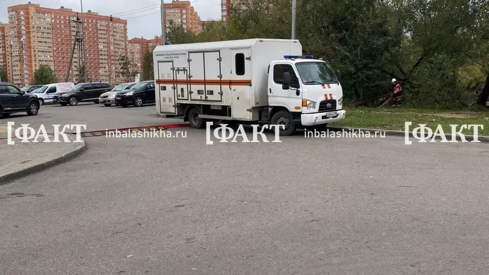 Фото: телеграмм-канал «Балашиха Рулит!»