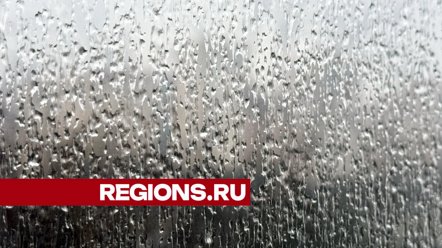 Фото: ©Александр Легкий