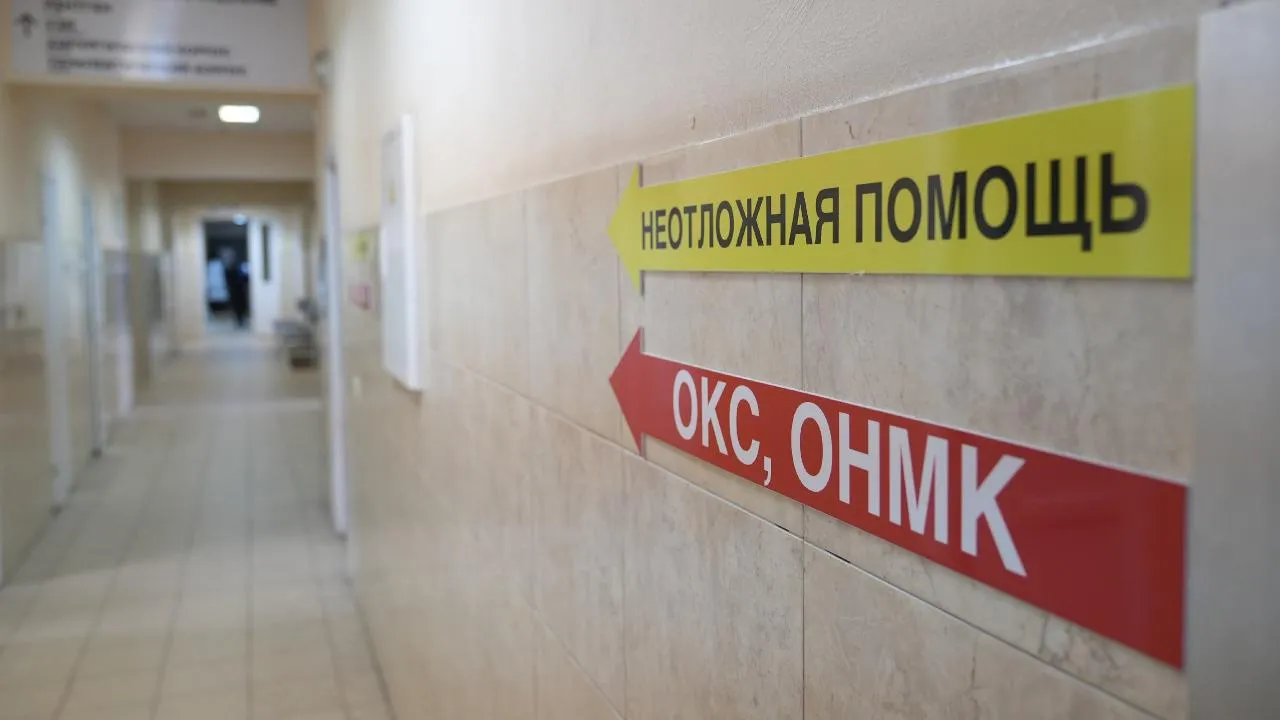 пресс-служба губернатора и правительства Московской области/Александра Степанова