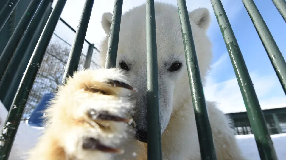 Фото: медиасток.рф