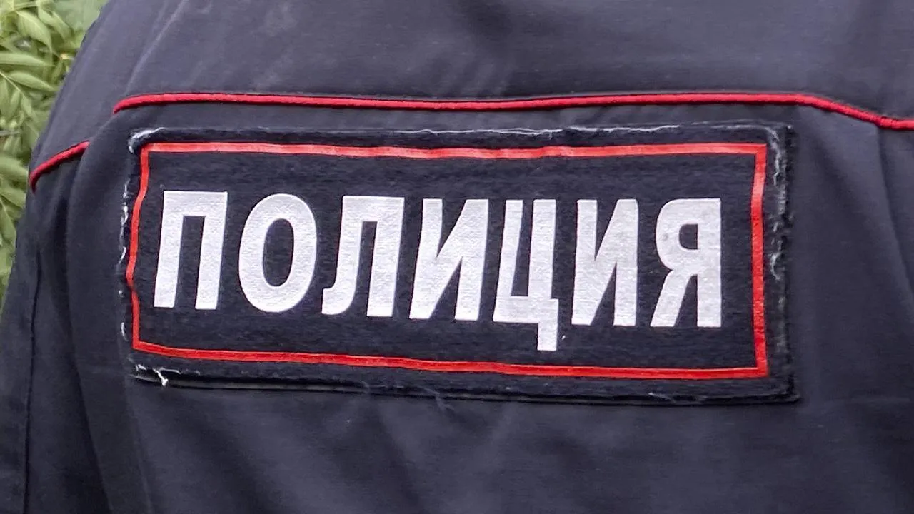 «В полиции для души, вообще-то предприниматель»: сотрудник МВД заставил мужчин спилить деревья и раскрыл преступление