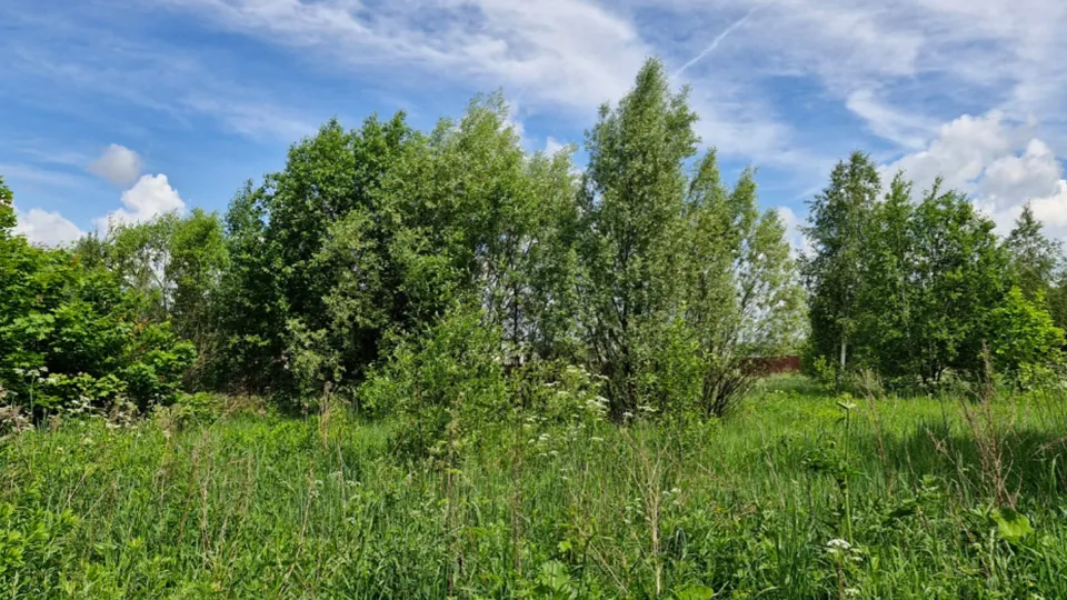 Фото: Комитет по конкурентной политике МО