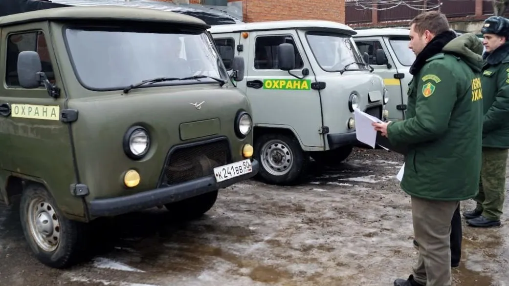 Фото: Комитет лесного хозяйства МО