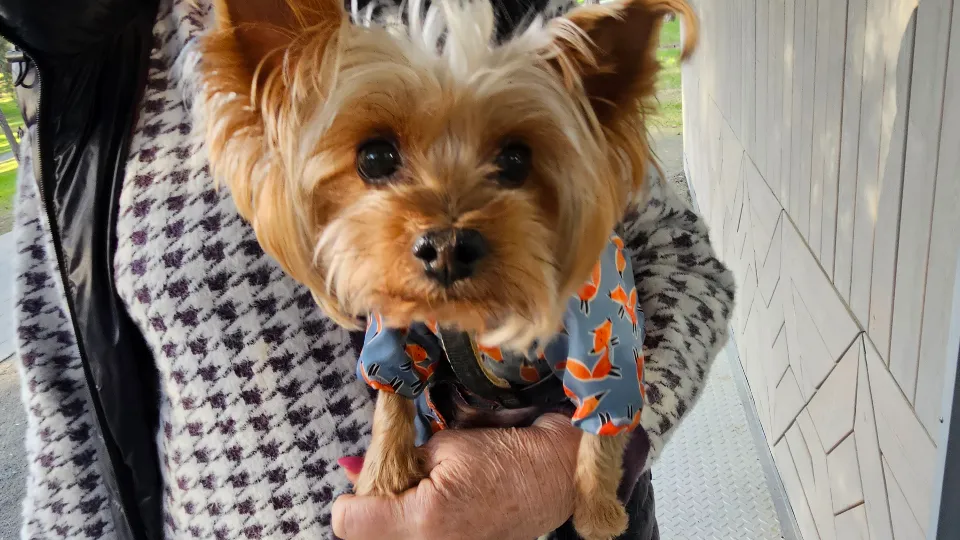 Фото: Медиабанк Подмосковья/Ольга Вельшикаева