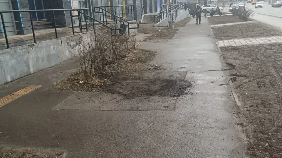 Фото: пресс-служба администрации г.о. Котельники