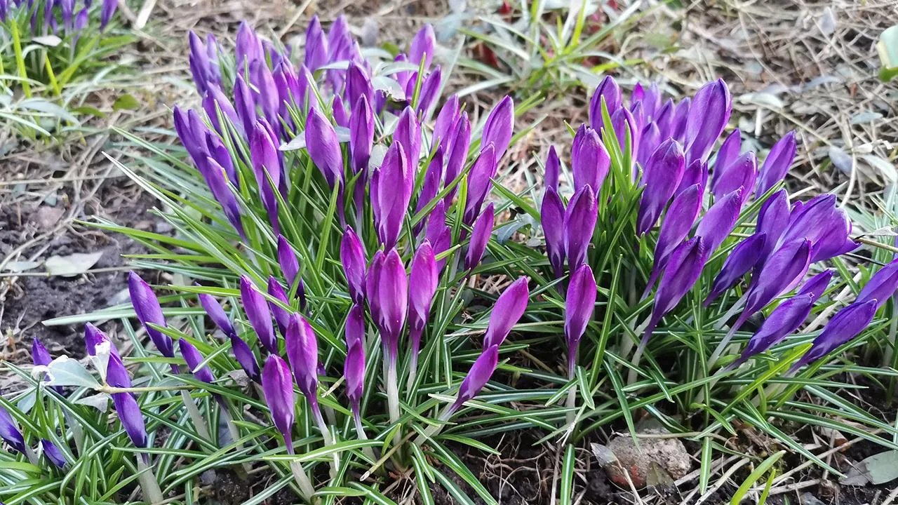МедиаБанк Подмосковья/Евгений Лавряшин