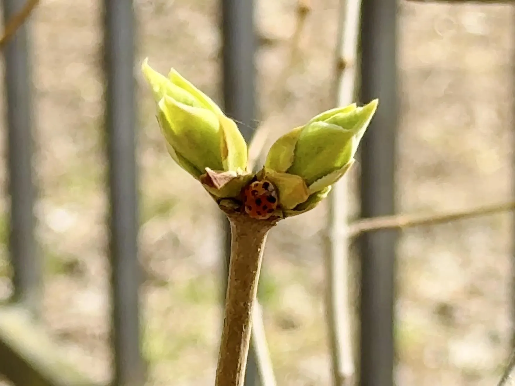 Фото: Ольга Стаферова