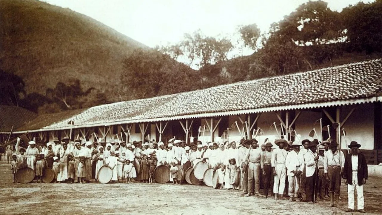 Бразильские прокуроры хотят привлечь к ответственности Banco do Brasil за работорговлю в позапрошлом веке