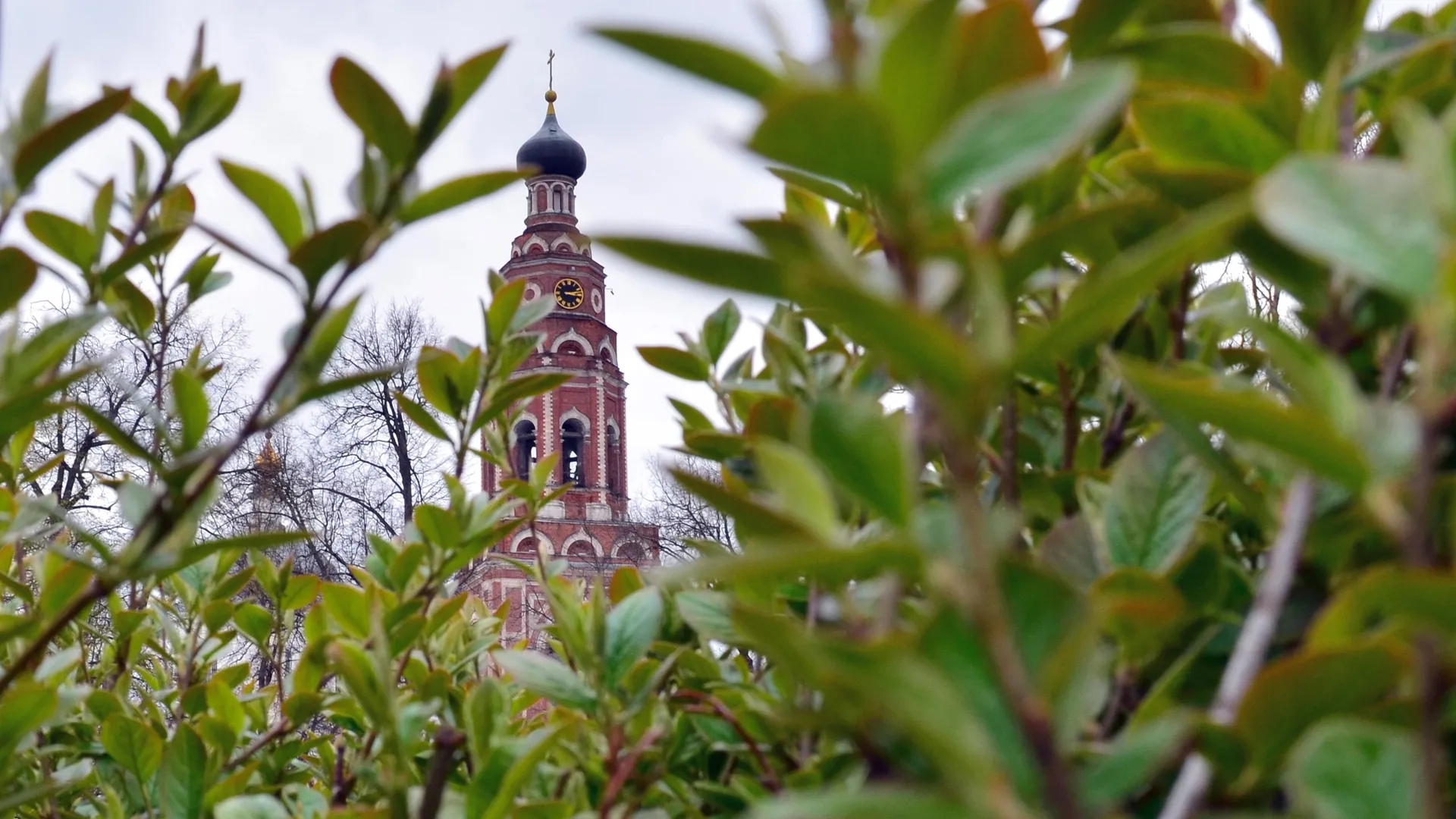Фото: Маргарита Сергеева
