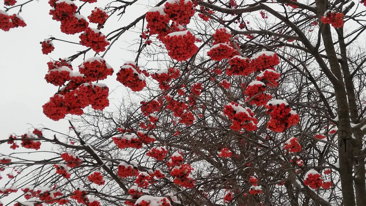 REGIONS/Кирилл Губа