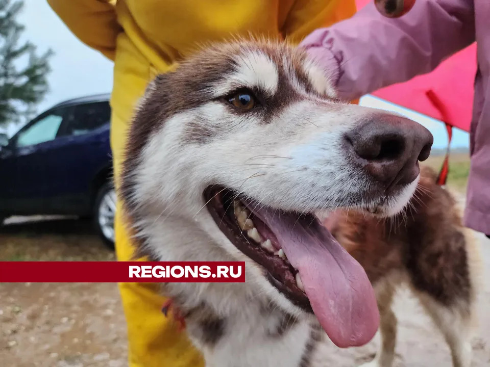 Фото: Екатерина Данилина