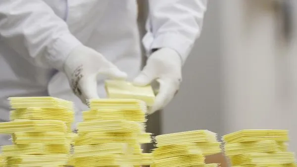 Эксперт рассказал, из чего производят плавленый сыр