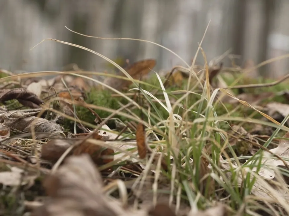 Фото: МедиаБанк Подмосковья/Елена Аботурова
