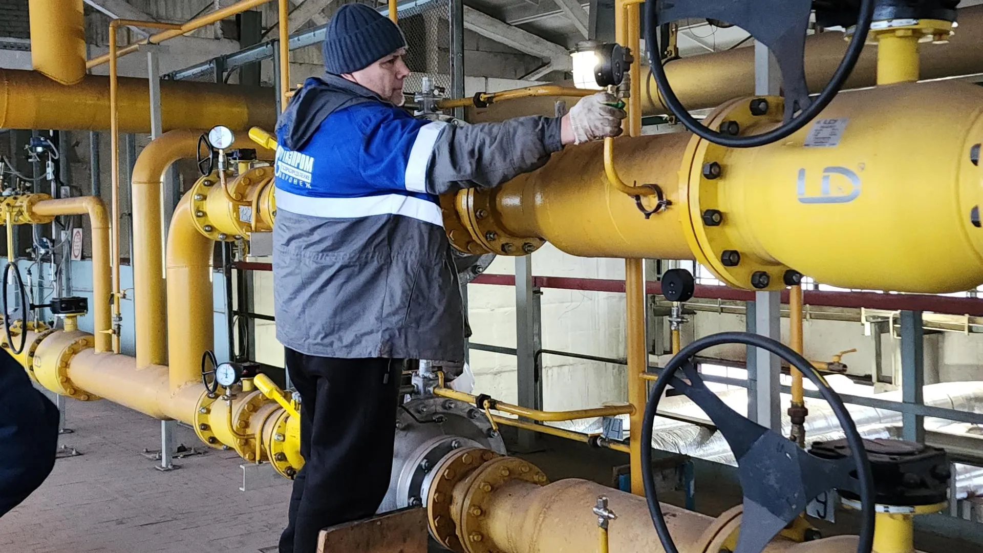 Нина Басистая