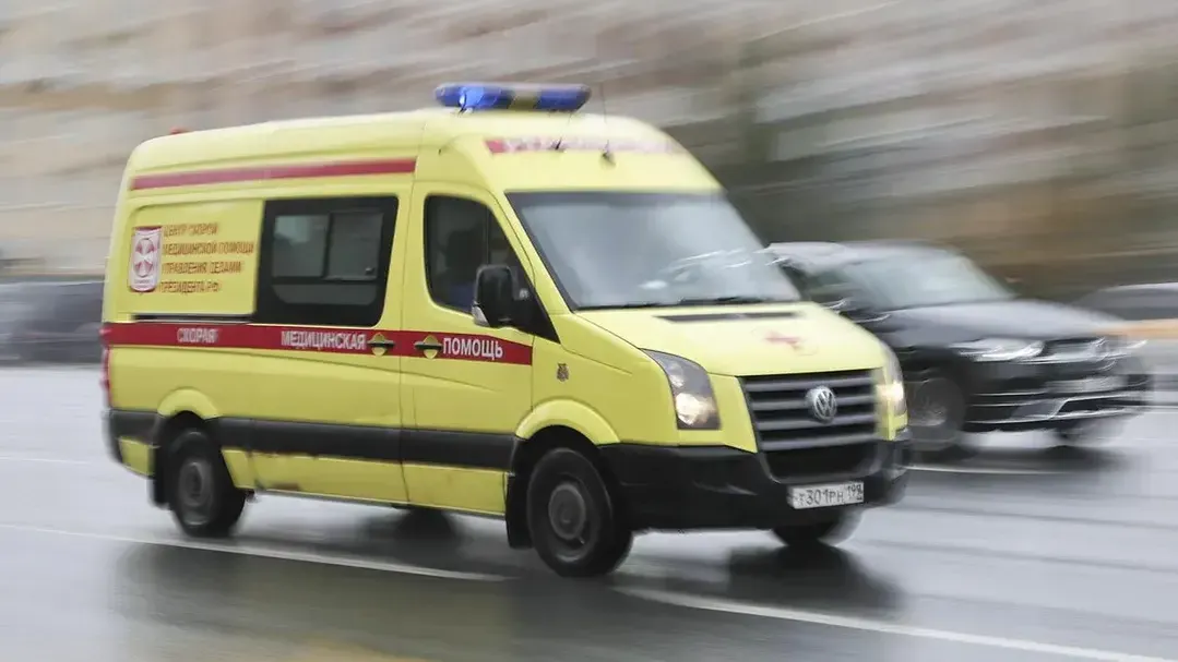 Фото: Софья Сандурская / ТАСС