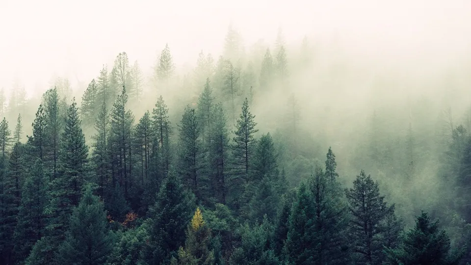 Фото: pxhere.com