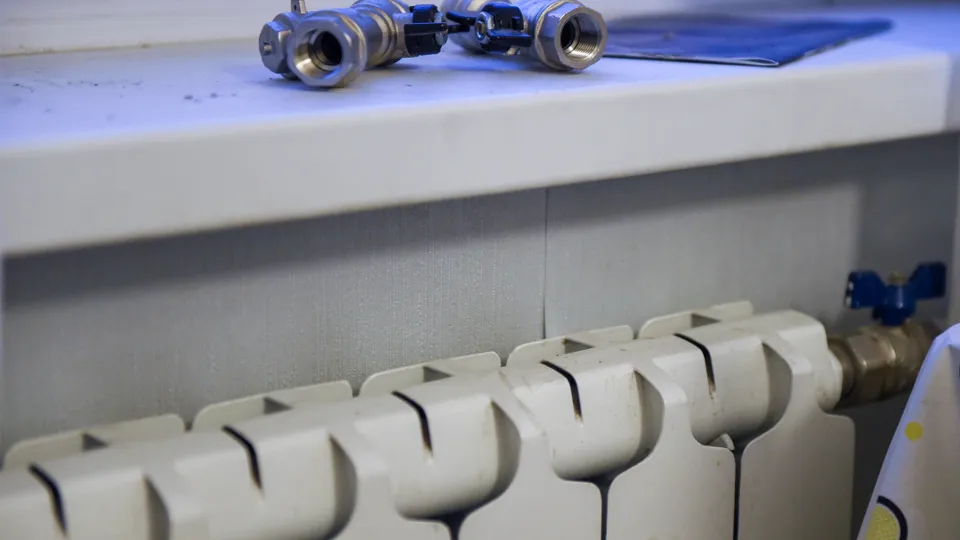 Фото: Медиаархив Подмосковья