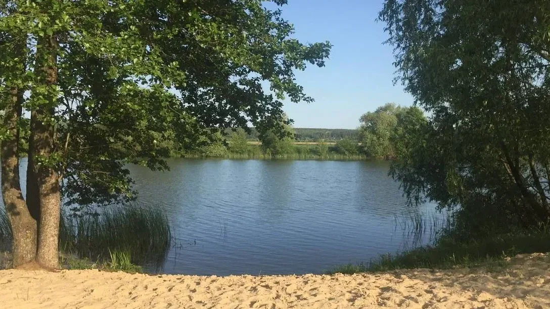 Фото: Пресс-служба Губернатора и Правительства Московской области