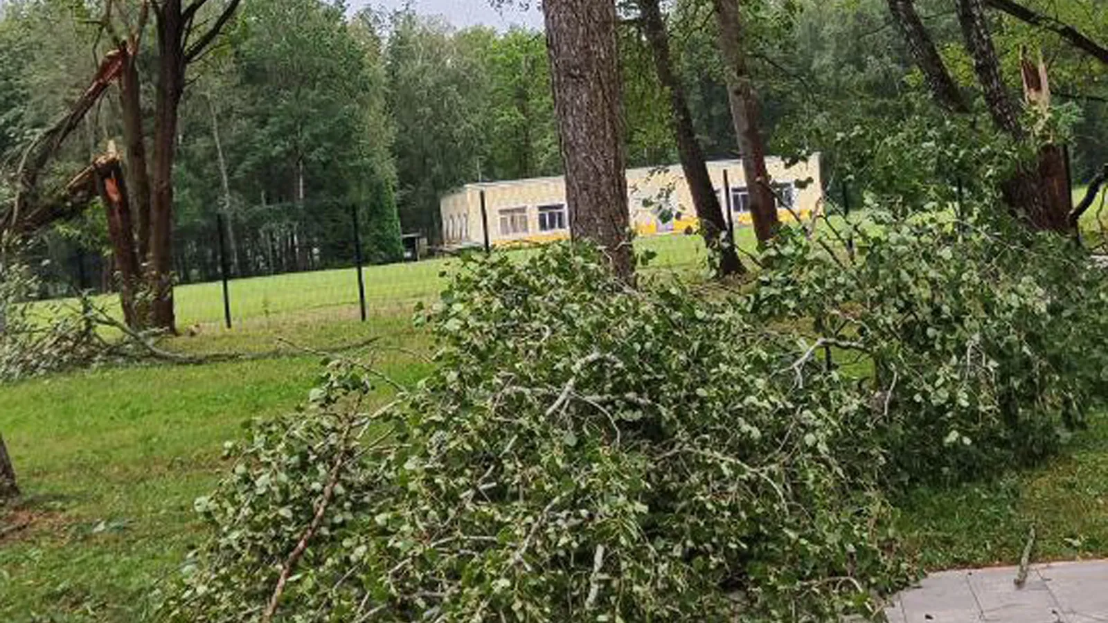 Фото: Парки Ступино