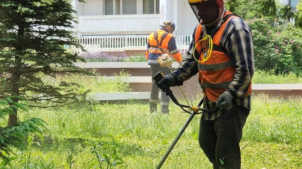 Фото: Мария Панина
