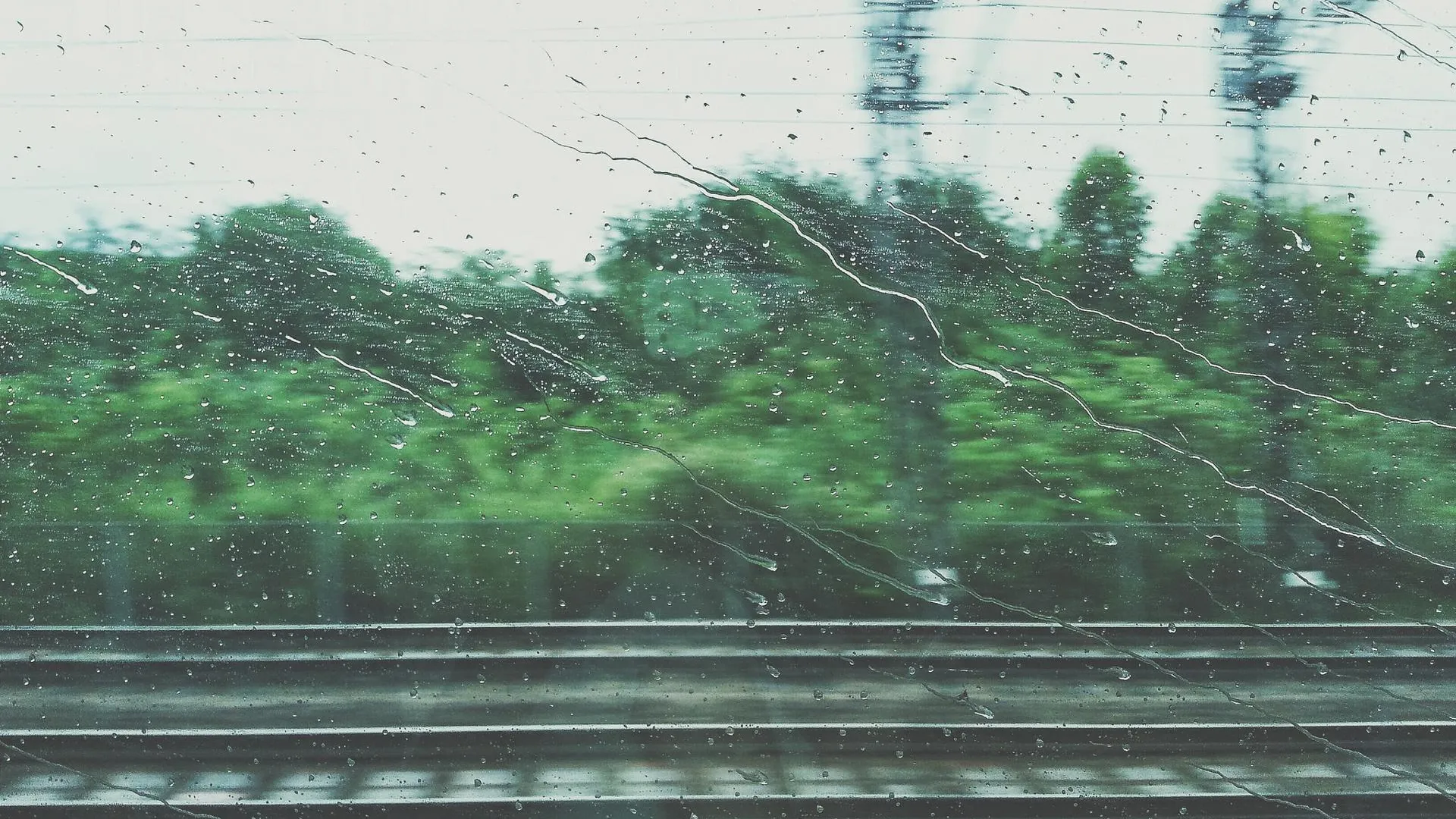 Фото: pxhere.com