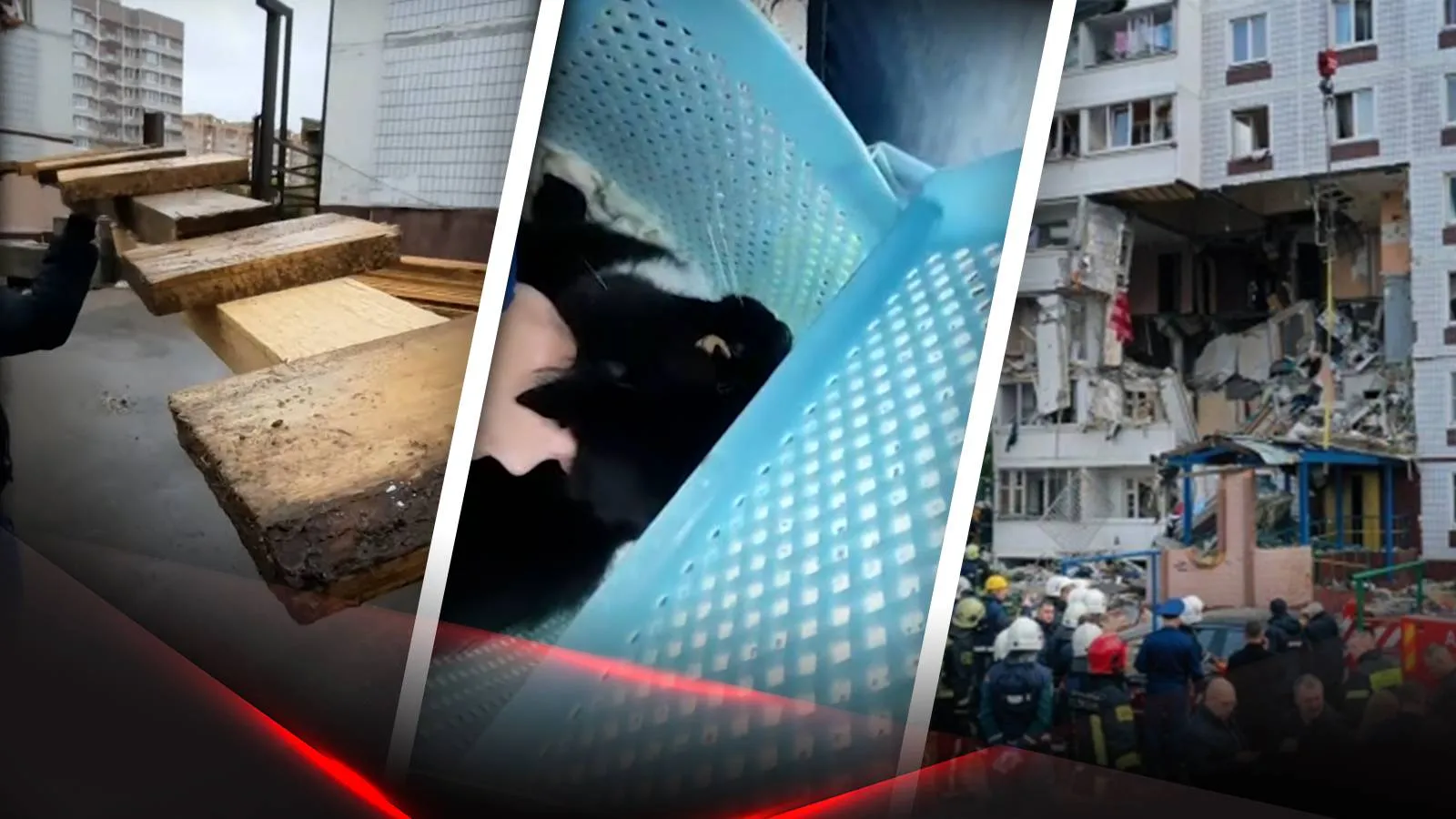 Спасенные коты и взорванный дом в Ногинске