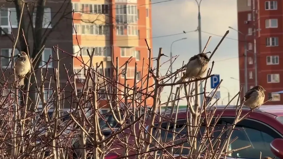 Фото: Ксения Казакова