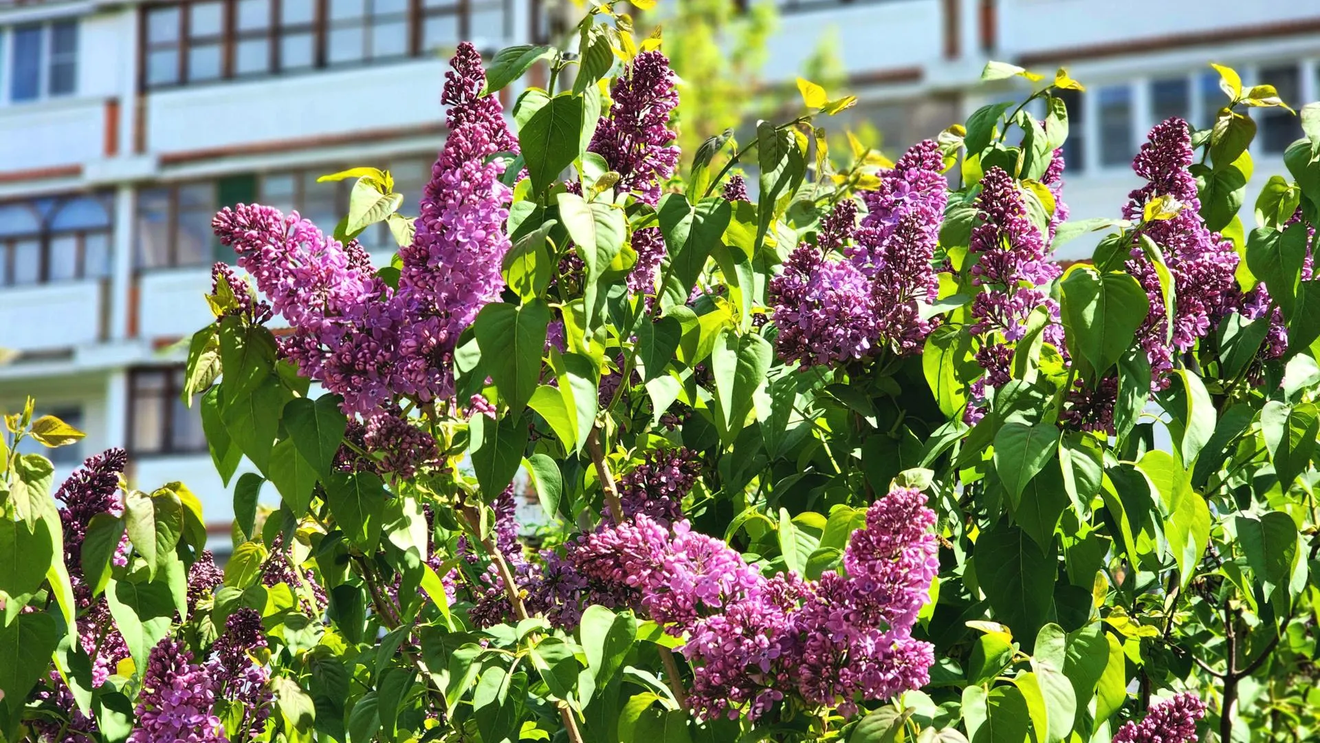 Фото: Мария Панина