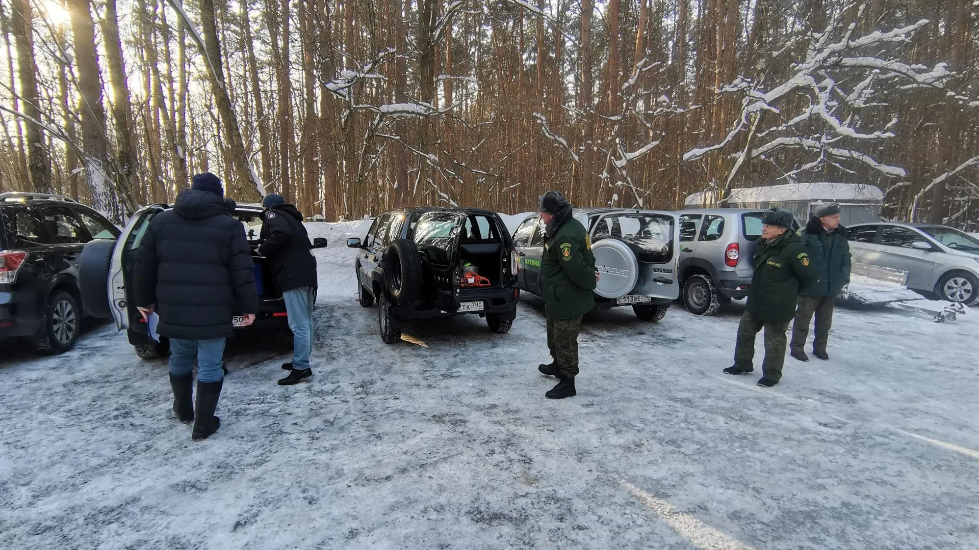Фото: Комитет лесного хозяйства Московской области