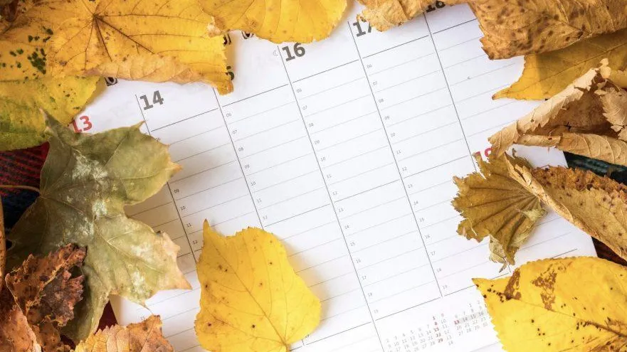 Фото: freepik.com/freepik