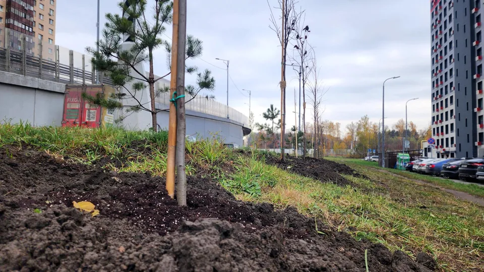 Фото: Мария Овчинникова