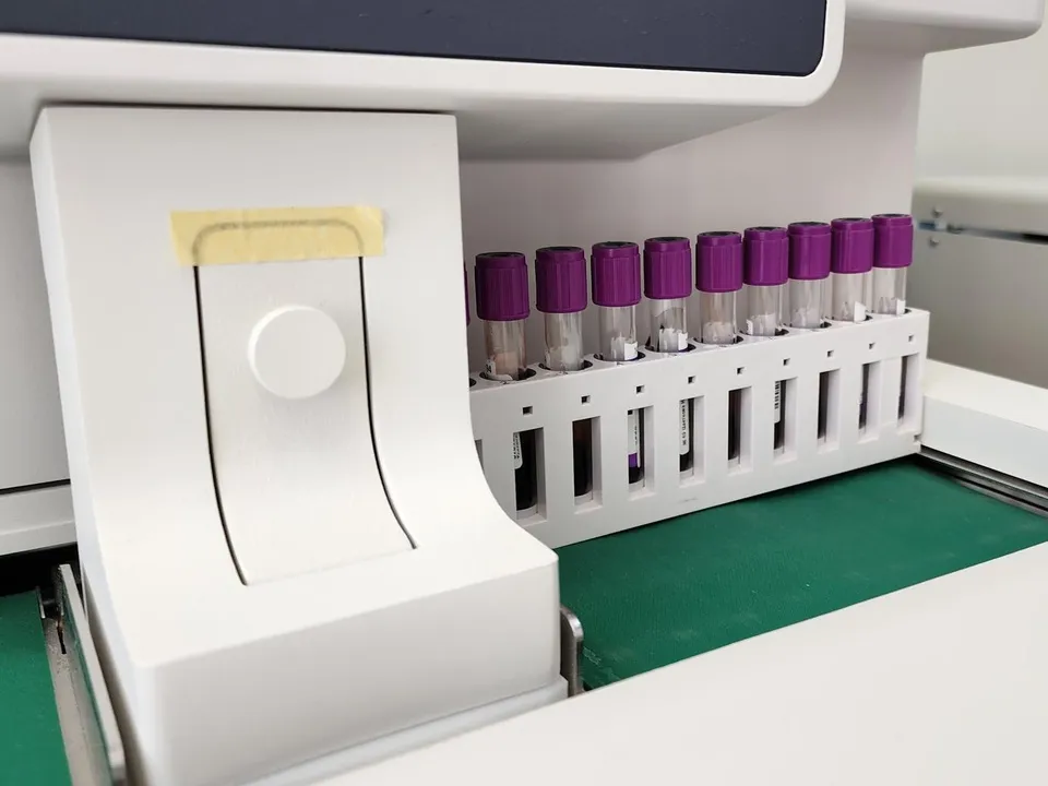 Фото: Иван Дубров