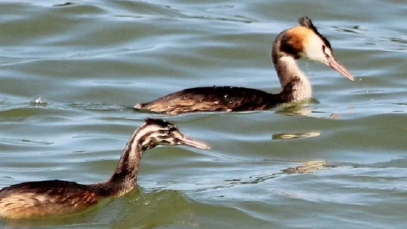 Фото: ПФ «Верховье»