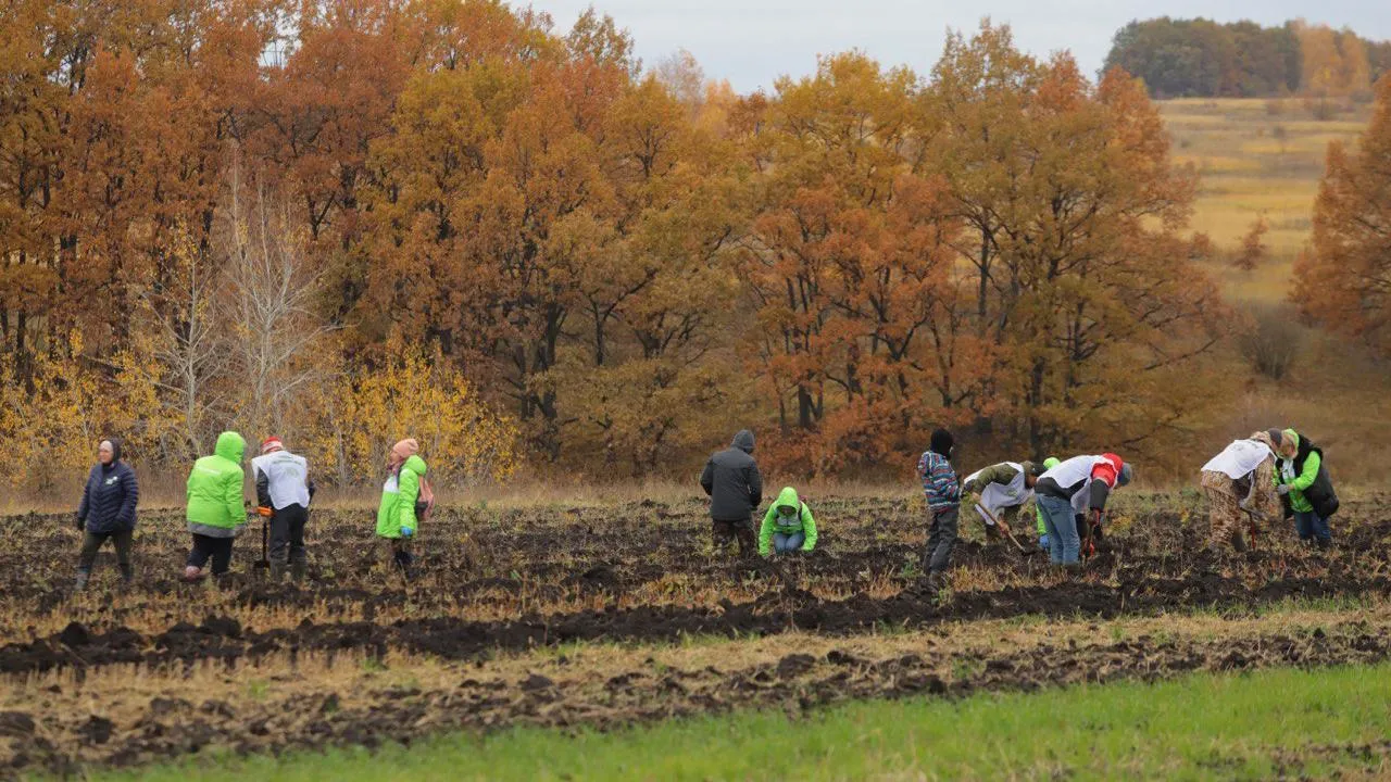 Фото: пресс-служба ФБУ «Рослесозащита»