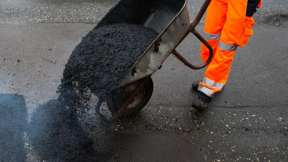 Фото: TASS/DPA/Arno Burgi