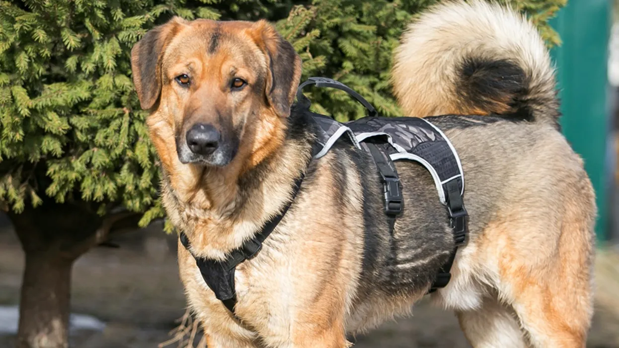 Фото: из личного архива Анастасии Г.