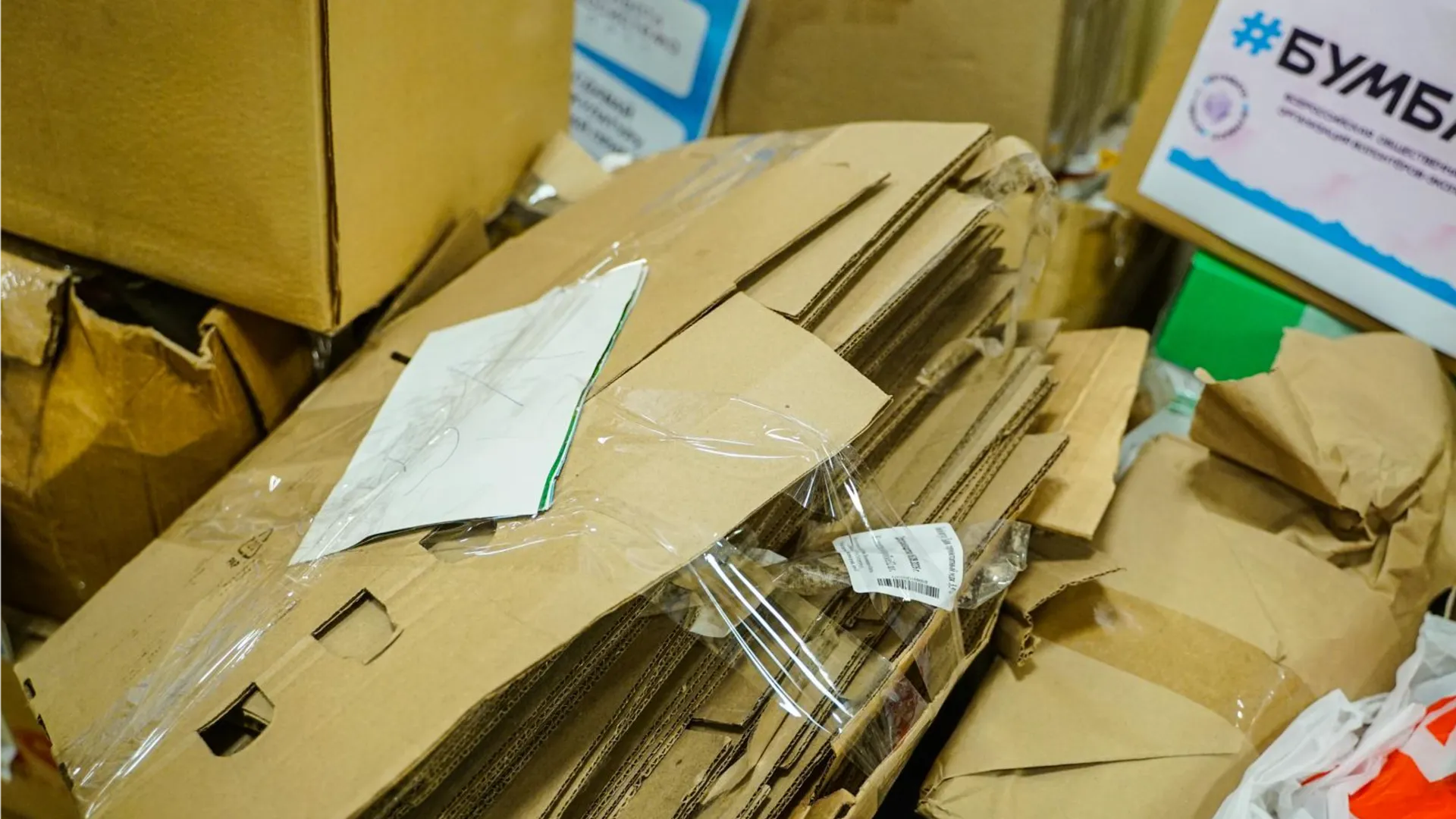 Фото: пресс-служба администрации г.о. Химки