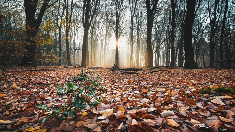 Фото: freepik.com