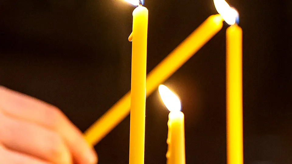 Фото: ТАСС/Валерий Шарифулин