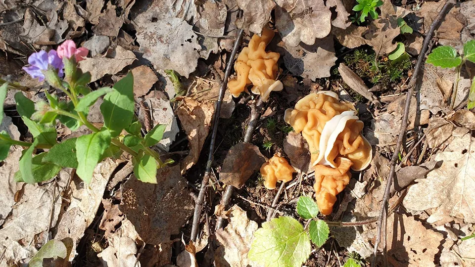 Фото: МедиаБанк Подмосковья/Анастасия Новак