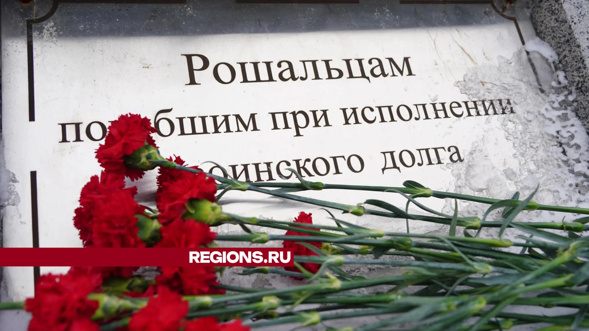 Фото: Анастасия Хренкова