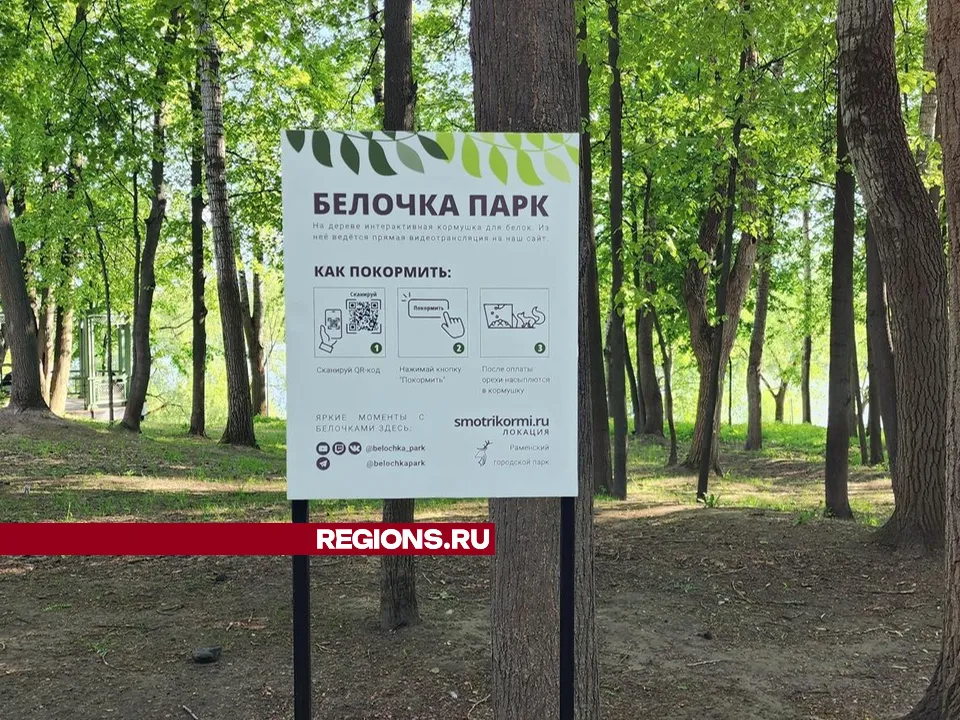 Фото: Ирина Моисеева