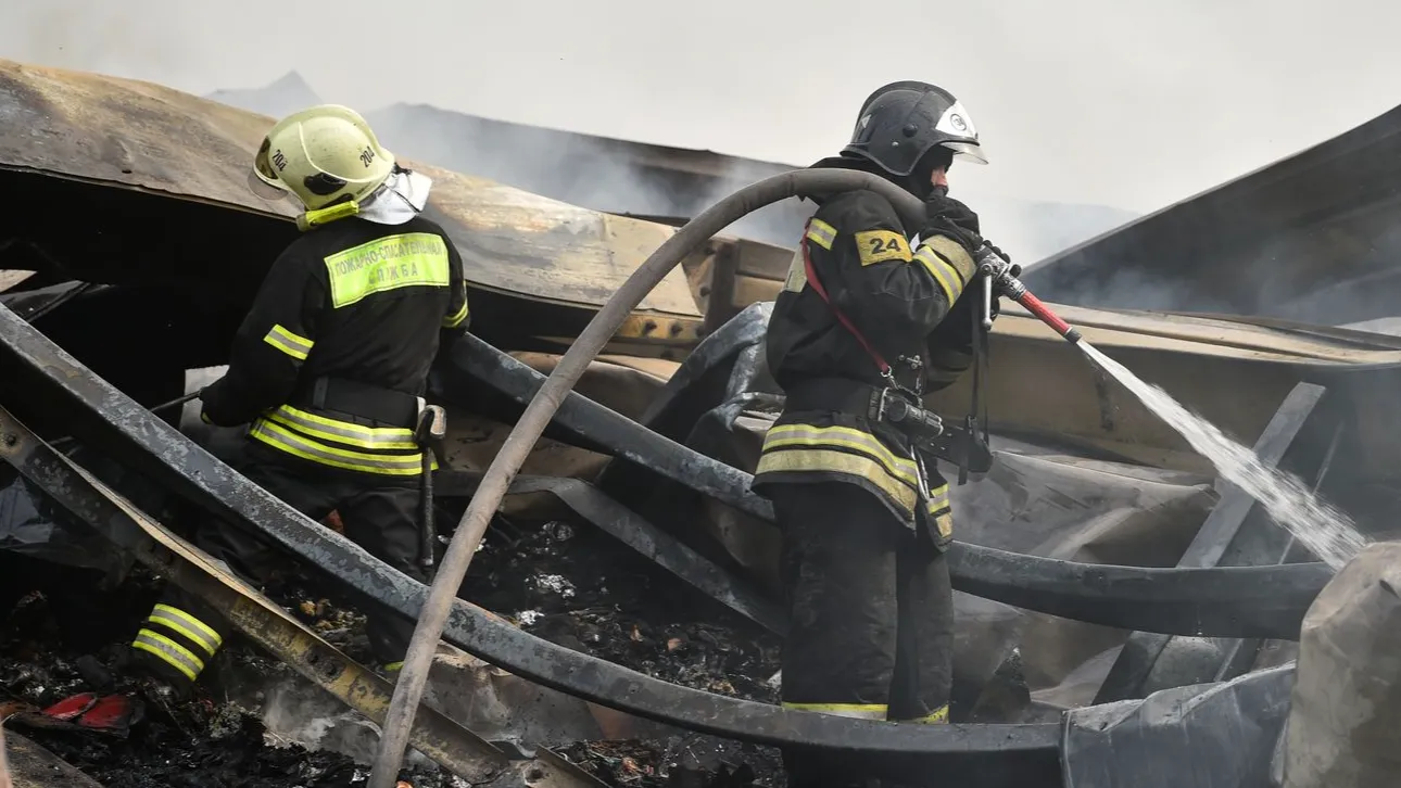 Фото: Медиасток Подмосковья