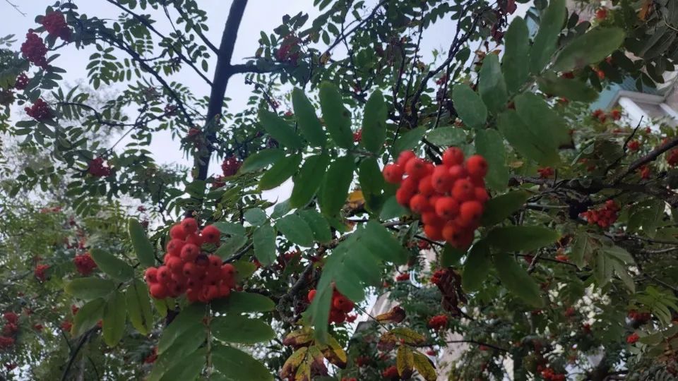 Фото: REGIONS/Елена Забелина