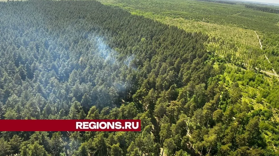 Фото: пресс-служба администрации городского округа Луховицы