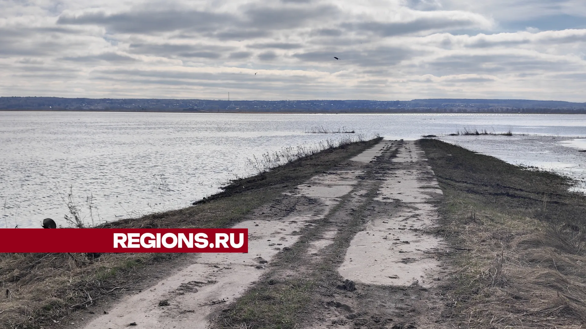 Фото: REGIONS/Алексей Селиверстов