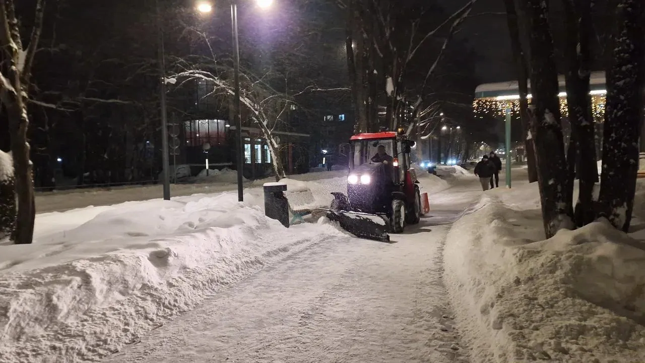 REGIONS/Полина Пахомова