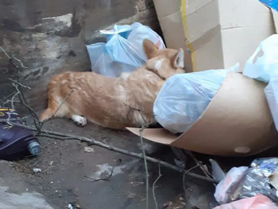 Фото предоставлено местной жительницей Ириной