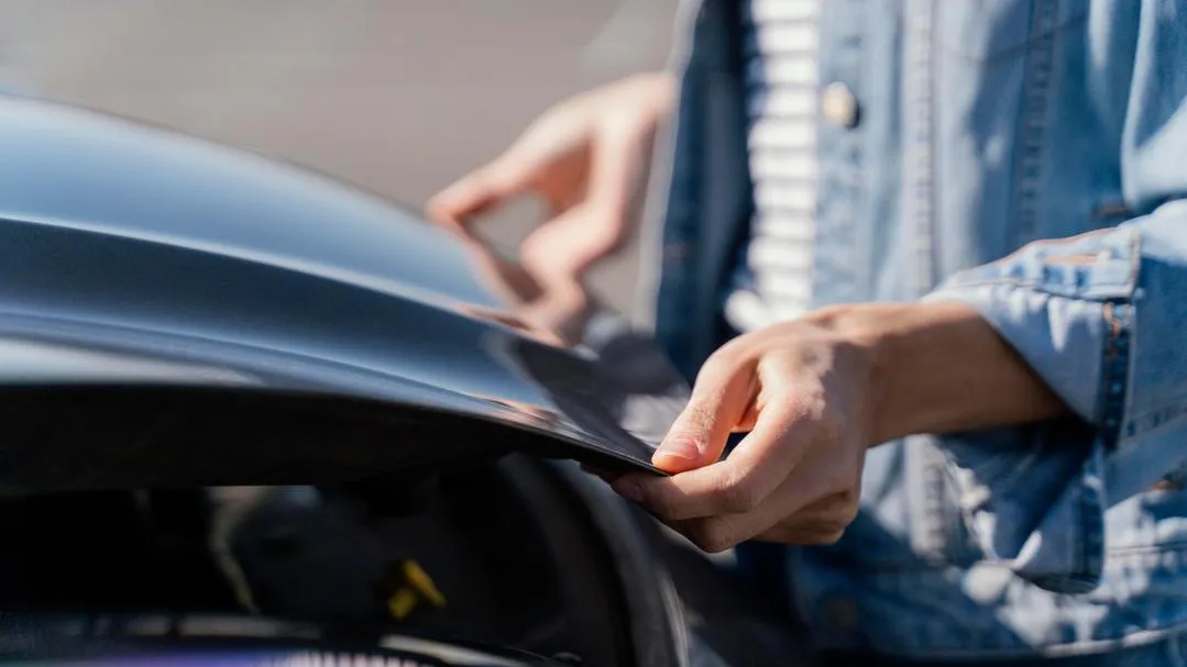 Фото: freepik.com